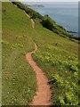 Coast path east of Commons Plantation in TQ1 4TP