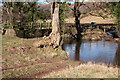 Footbridge and ford, Vale of Ewyas in Crucorney Community