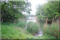 Inlet on the River Beaulieu Estuary in SO42 7YF