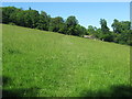 Footpath across open access land near Pilots Wood in TN14 7SL