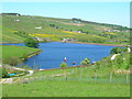 Ponden Reservoir : south-west corner in Haworth and Stanbury