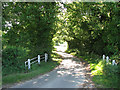 Bridge over Carleton Beck in NR14 7BH