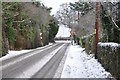 Park Road, Wootton Common in PO33 4RJ
