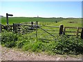 Field and footpath near Powburn in NE66 4LL