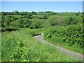 Looking downhill about 200m North of Gellygron in Llanddeusant Community