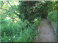 Darenth Valley Path - close to Shoreham in TN14 7UD