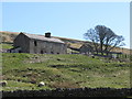 Semi-derelict farm buildings above the River East Allen near Low Huntwell in NE47 9UJ