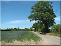 View west along Pound Lane in NR34 0ET