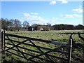 Old barns south of South Street Road in ME9 7SQ