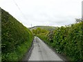 Single track road in SY17 5LH