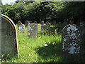 All Saints Church - churchyard in Burgh St Peter