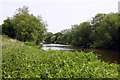 The River Thames at Culham in OX14 4NF