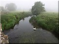River Avon at Lacock Bridge in Bowden Hill