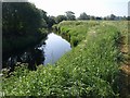 River Avon near Chippenham sewage works in SN15 2NP