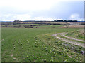 View SE from Carey's Hollow, South Petherton, Somerset in TA13 5DD