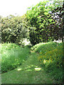 Path from St Andrew's to Raveningham Hall in NR14 6NR
