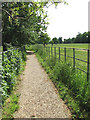 Path to St Andrew's church in NR14 6NR