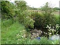 Footbridge over Black Brook in Stonebow Village