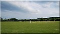 Cricket Practice in Pirton in SG5 3EY