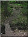 Footbridge in Forstal Wood in TN17 2NP
