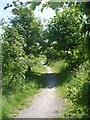 Footpath - Fitzwilliam Country Park - viewed from Wentworth Terrace in WF9 5BE