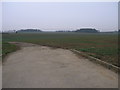Farm Track and Fields in S81 8SS