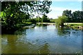 River Kennet joins the canal in RG14 1TF