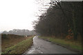 The edge of Bilberry Wood in CH4 0EQ