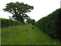 Footpath near Nash farm in RH17 7NJ