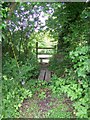 Footbridge, Lickfold in GU28 9DT