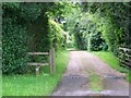 Footpath, Lickfold in GU28 9DT