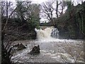 Falls on the Clydach in Dyffryn Clydach Community