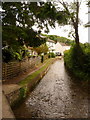 Piddletrenthide: River Piddle alongside the Piddle Inn in DT2 7QN