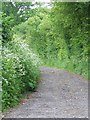Footpath, Upper Farringdon in GU34 3EH