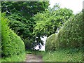 Footpath, South Hay in GU35 9NR