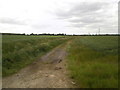 Shaftholme Field farm track in DN5 0TZ
