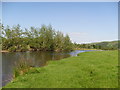 The river Severn, Caersws, Powys in SY17 5DX