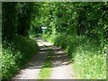 Footpath near East Marden in PO18 9JE