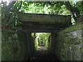 Bridge over the Sunken Path in Somerhill Park in TN11 0FL