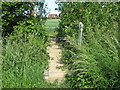 Footbridge near Moat Farm in TN12 6TD