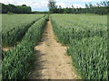 Footpath crossroads near Moat Farm in TN12 6TD
