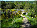 Footbridge over Duchray Water in FK8 3TG