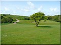 Footpath across a golf course, Bude in EX23 8AL