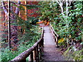 Walkway to the Millbuies Loch in IV30 8BN