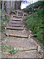 Log Steps at The Country Park in IV30 8RJ