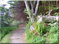 The Track round the Loch in IV30 8RJ