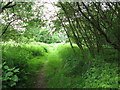 Footpath north of Fullingmill Farm in RH16 2RF