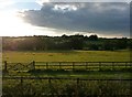Mendip : Grassy Field & Countryside in BA11 5HN