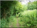 Footpath, Wiltshire Coppice in SP5 5QW