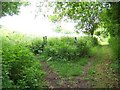 Footpath junction, Wiltshire Coppice in SP5 5QW